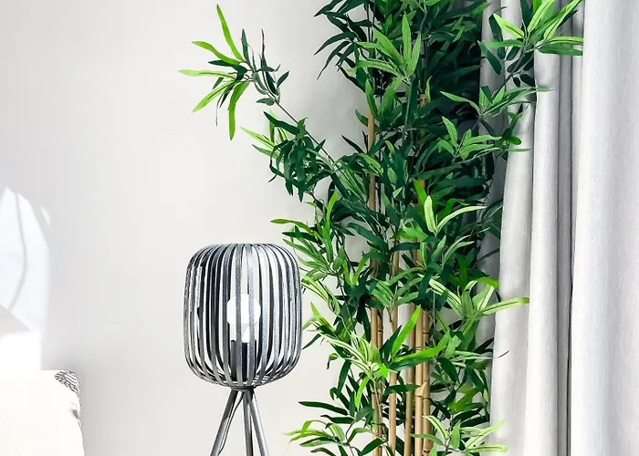 La Bocaina By Holidays Fuerteventura Corralejo